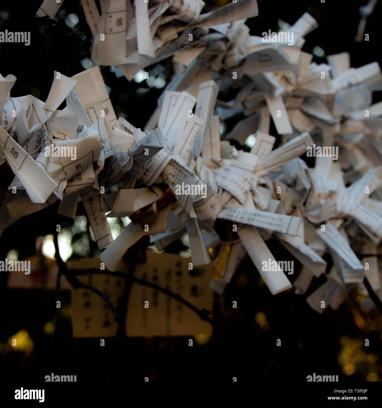 Fortune Papier Stockfoto