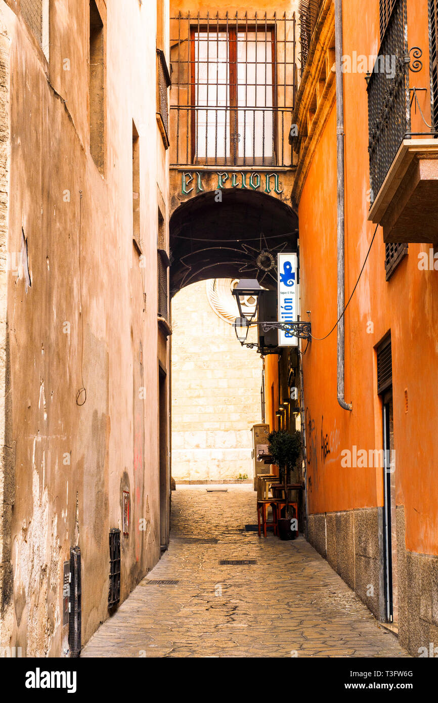 Gasse in der Altstadt von Palma de Mallorca, Balearen, Spanien Stockfoto