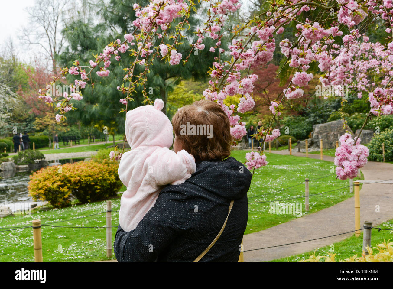 Die Kyoto Japanischer Garten in Holland Park, Holland Park Avenue, Kensington, London, W11, Großbritannien Stockfoto