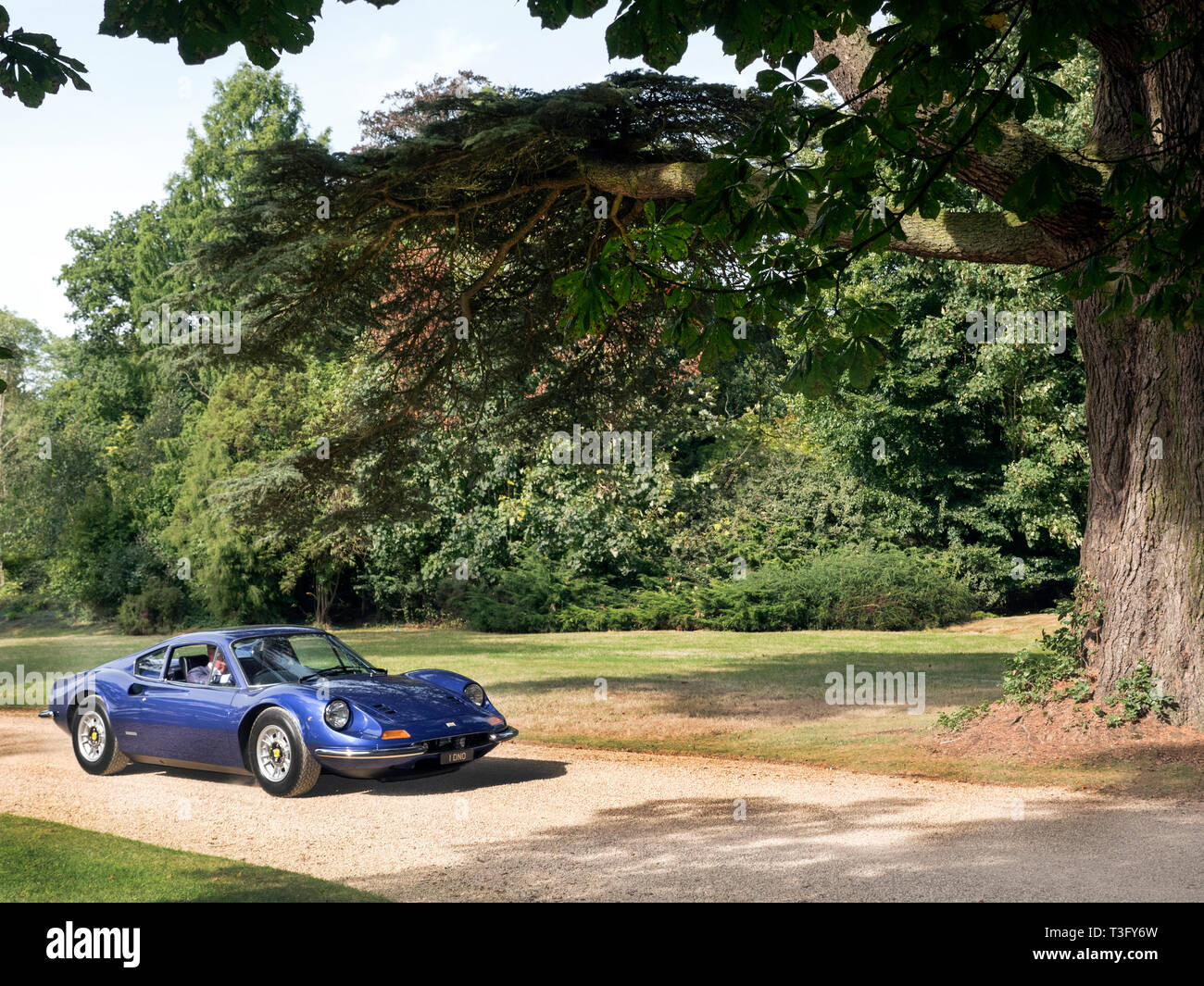 Ferrari 246 Dino, die im Salon Prive bei Blenheim Palace Oxfordshire UK Stockfoto