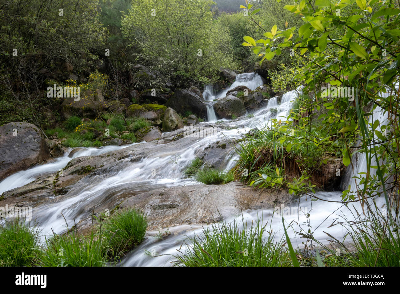 Wasserfälle an der Serra da Peneda Gerês Berge im Norden Minho, Portugal, Europa Stockfoto