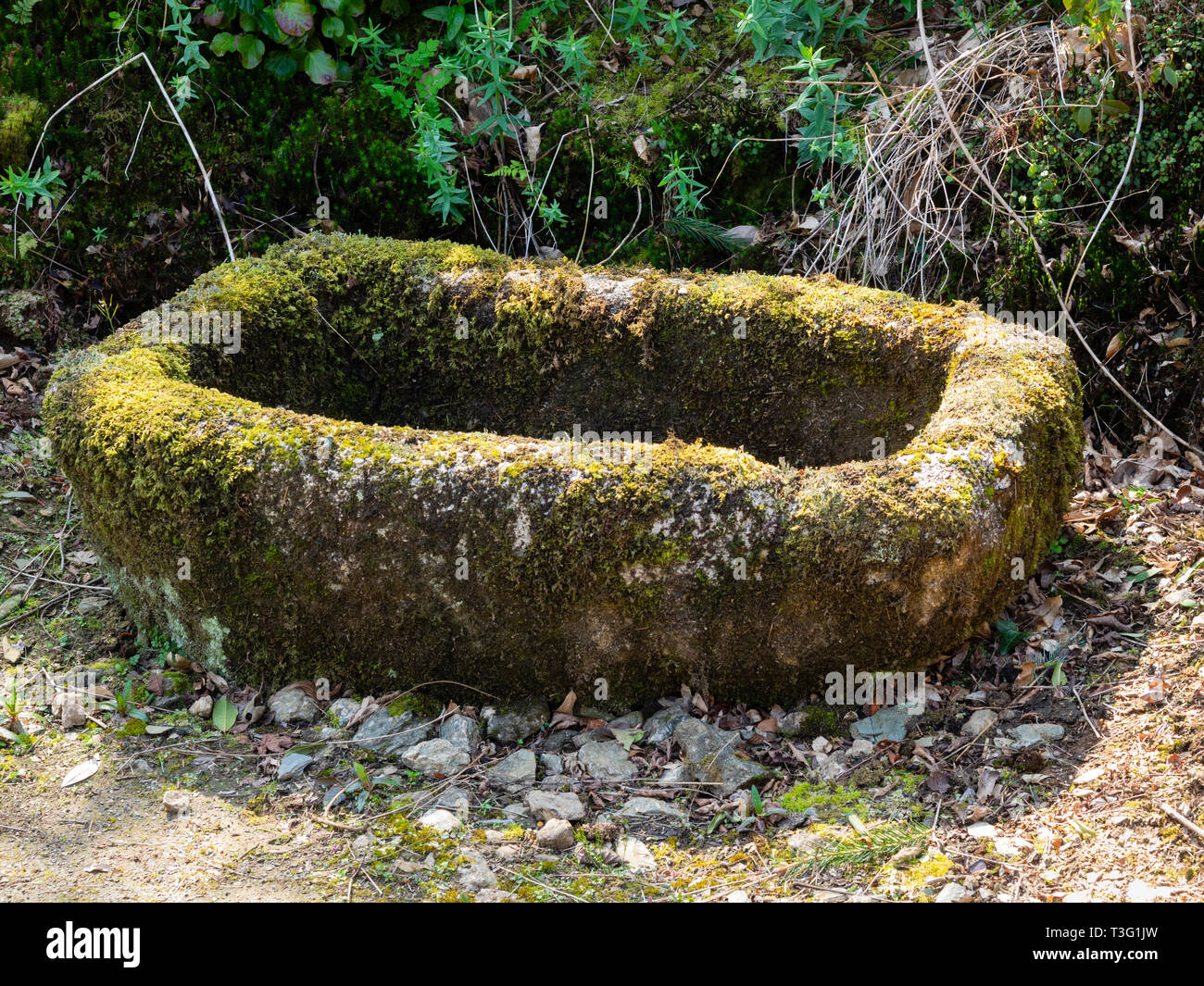 Moos bedeckt, von Hand geschnitzten Granit tierische Trog als Garten Stockfoto