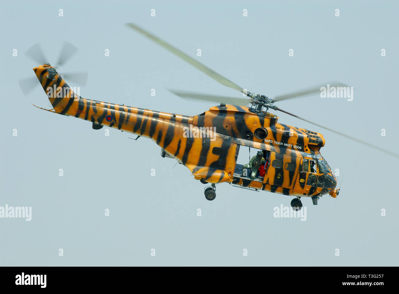 Royal Air Force Aérospatiale SA 330 Puma Helikopter XW231 im Tiger stripe-Lackierung, die speziell für die NATO Tiger Meet 2005 angewandt. Fliegen Stockfoto