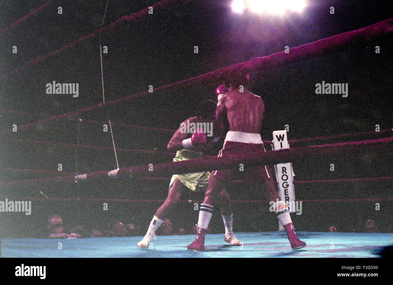 World Lightweight Champion Little Stevie Cruz im Boxkampf gegen Antonio Esparragoza März 6, 1987 Will Rogers Coliseum in Ft. Worth, Texas Stockfoto