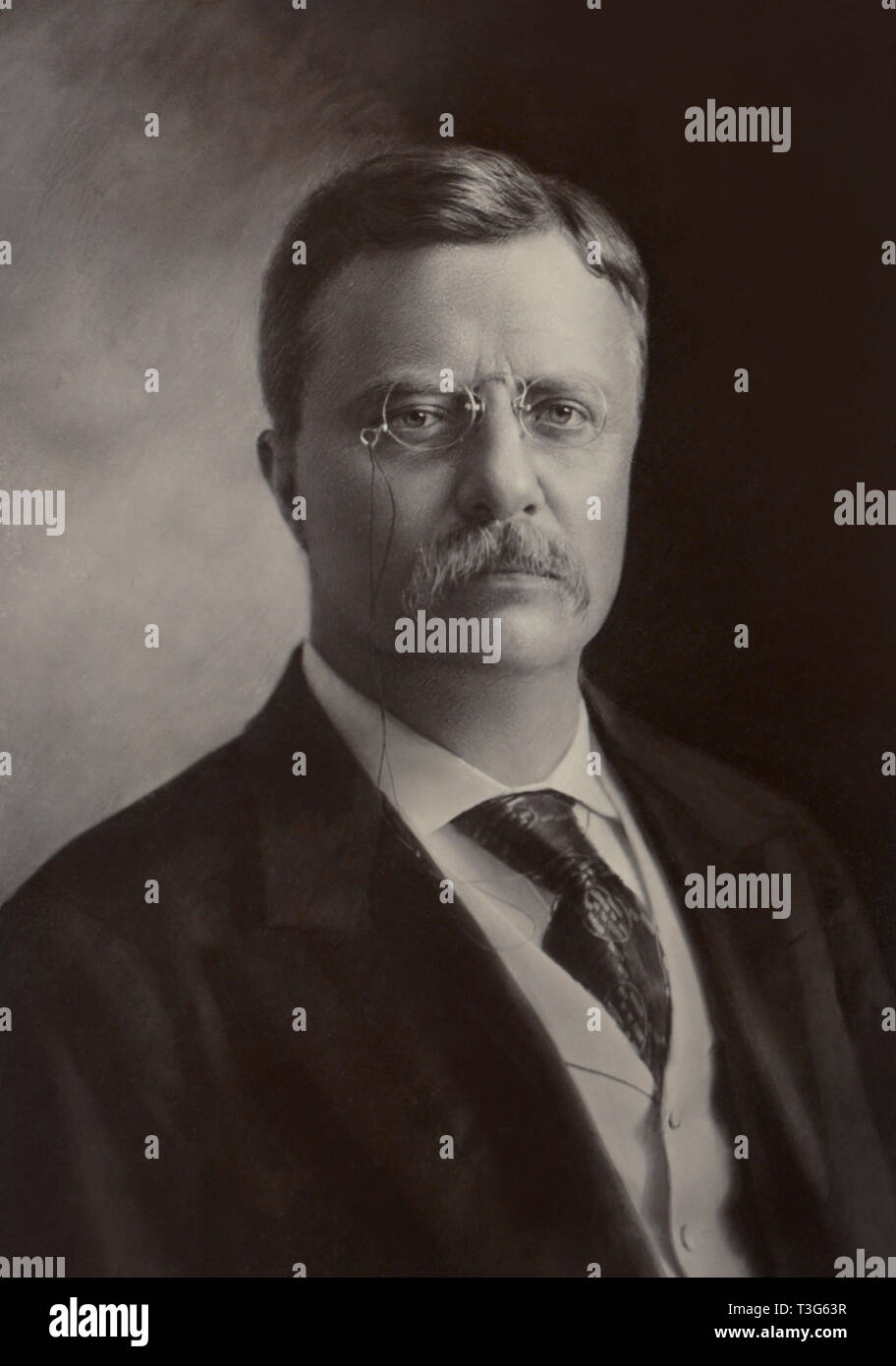 Us-Präsident Theodore Roosevelt, Kopf und Schultern Portrait von George Prince, 1904 Stockfoto