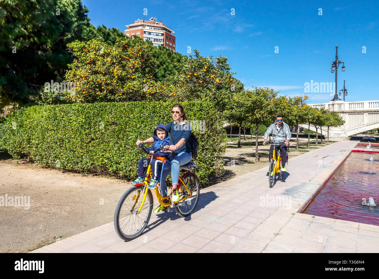 Turia Valencia Gärten, Familien Radtouren im Park, Spanien Fahrradstadt Europa Spanien Fahrradstadt Menschen mit Orangenbäumen Stockfoto