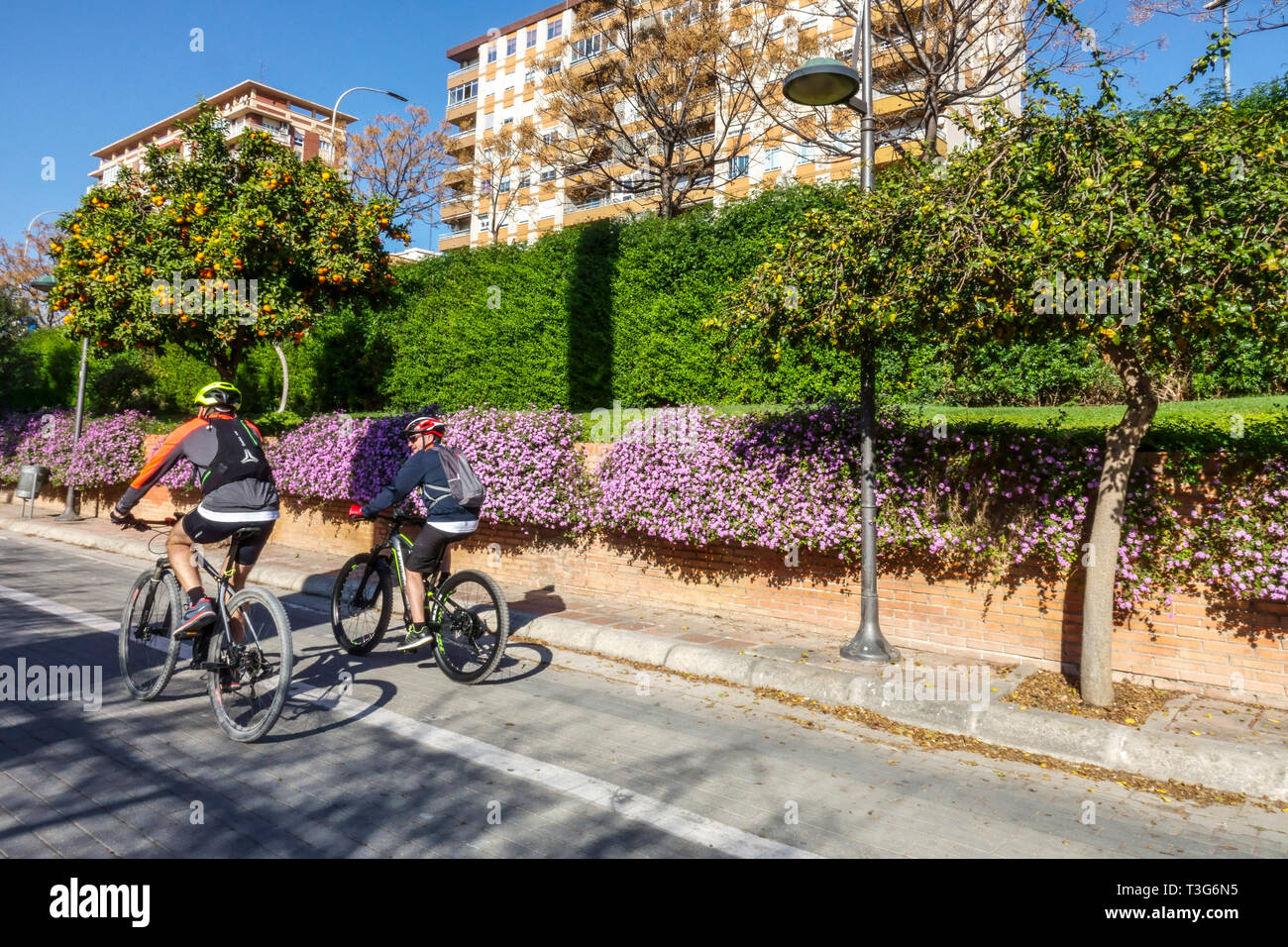 Valencia Turia Gärten, Radfahrer fahren auf Radweg, Spanien Fahrradstadt Europa Radweg Jardín del Turia Stockfoto
