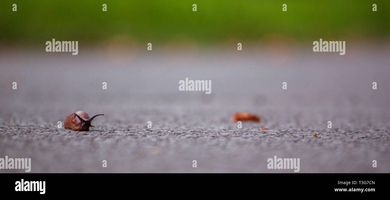 Makro Welt Stockfoto