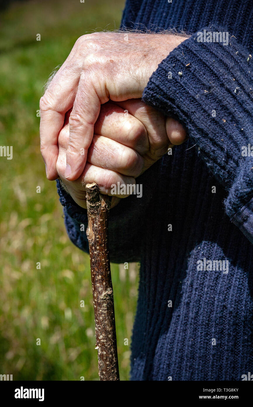 Die Ursachen und Symptome von Stress und Depressionen in der Landwirtschaft oder in der Landwirtschaft kann in viele Formen kommen. Herausforderungen in der Landwirtschaft, psychische Gesundheit, NFU Mutual Stockfoto