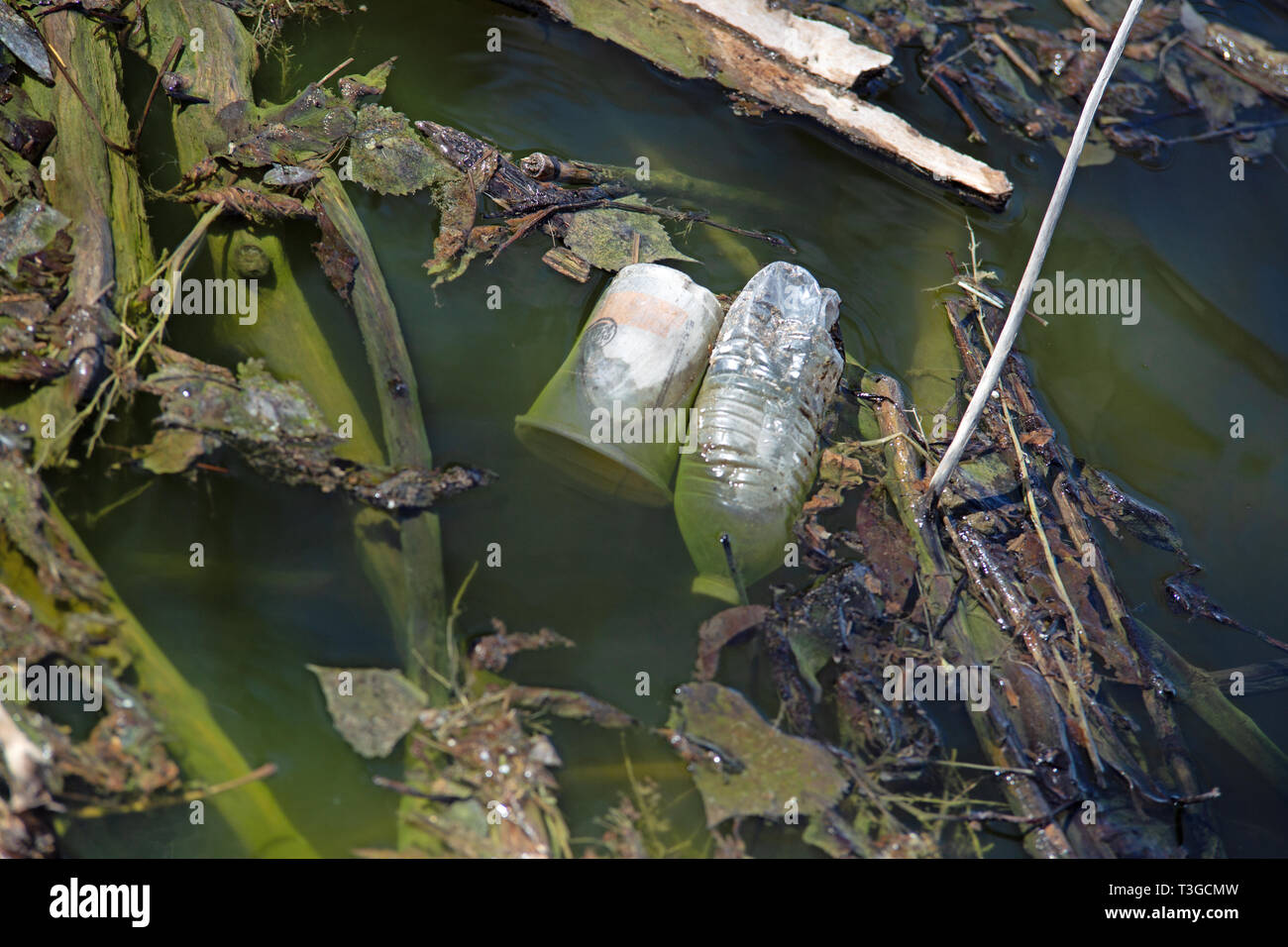 Müll und Abfall in einem Teich Stockfoto