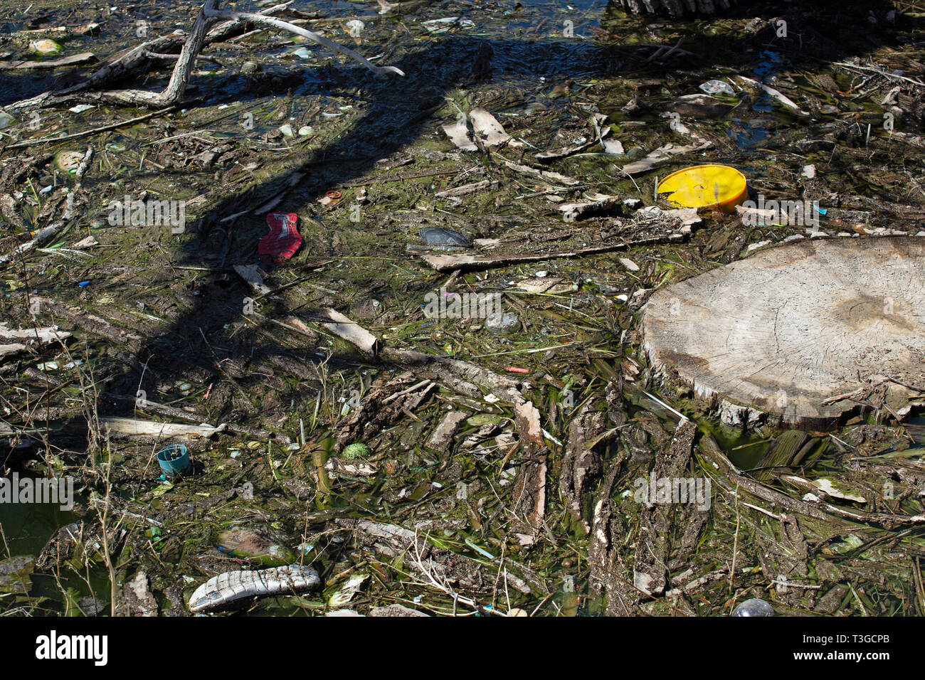Müll und Abfall in einem Teich Stockfoto