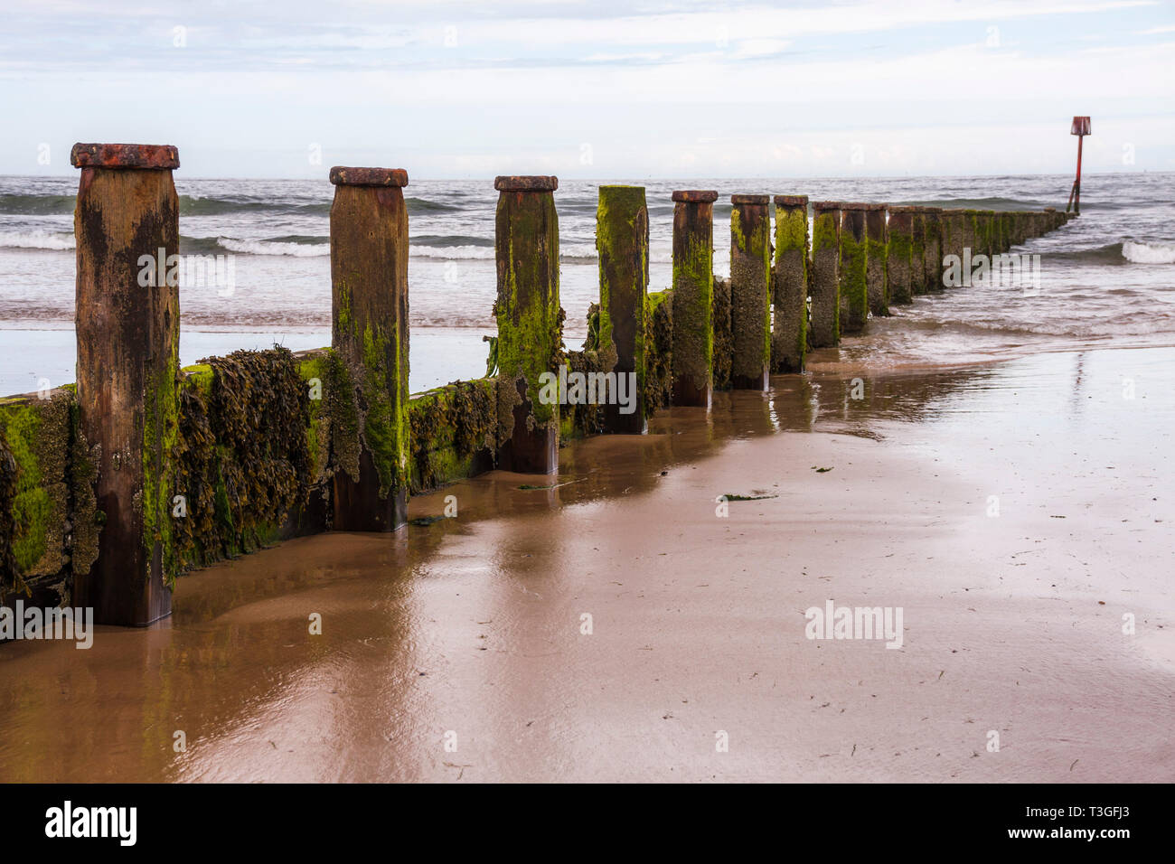 Nahaufnahme der leisten und Flut am Strand von Redcar im Nordosten Englands Stockfoto