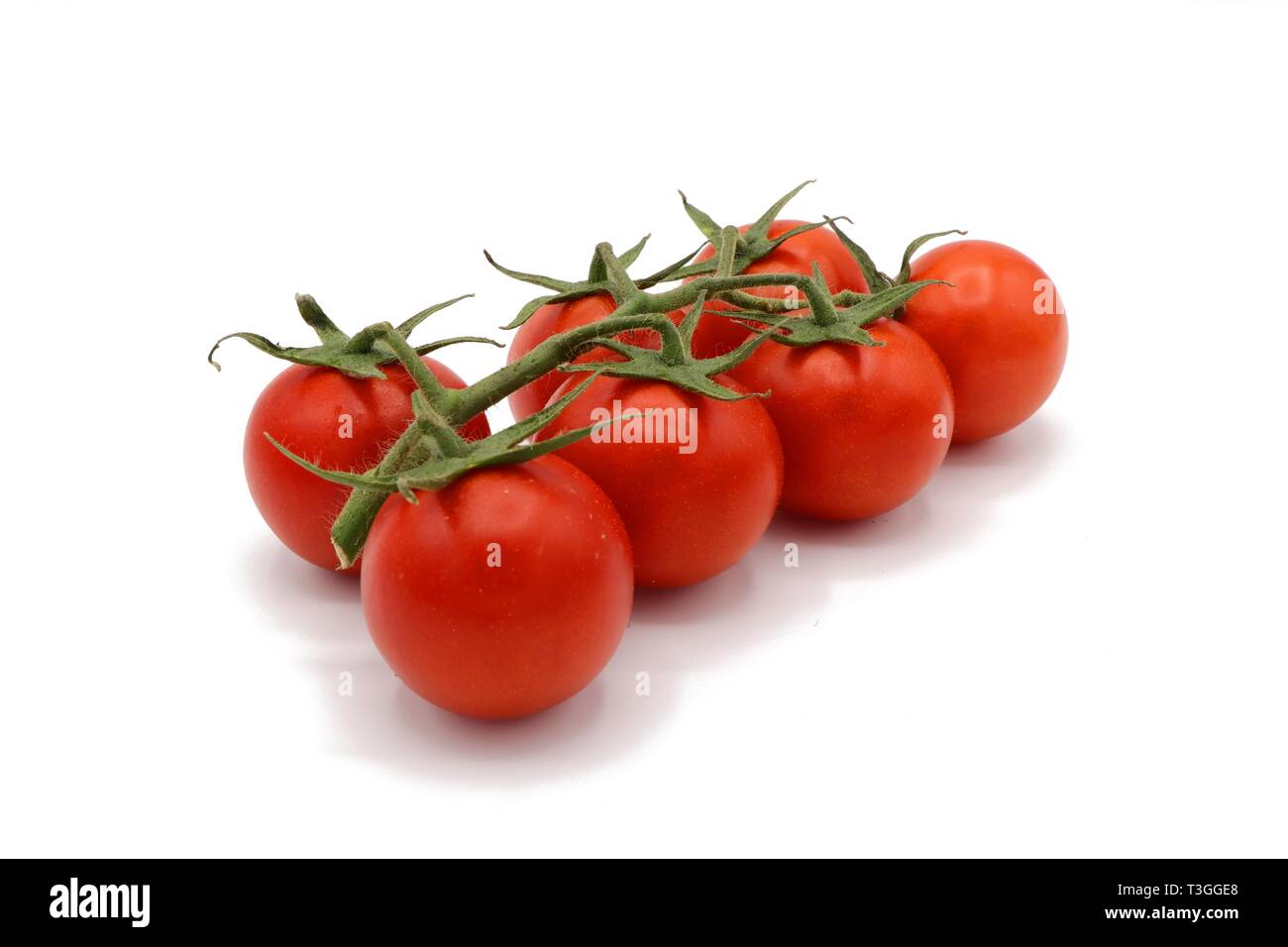 Frische rote cocktail Tomaten am Weinstock isoliert auf weißem Stockfoto