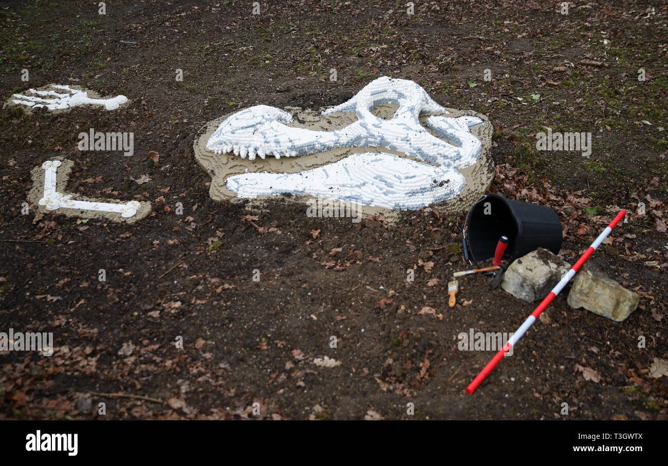 Ein Lego Dinosaurier fossil Kopf auf Anzeige an Marwell Zoo, die Teil Ihrer BRICKOSAURS! Die Ausstellung läuft vom 5. April bis zum 1. September. Stockfoto