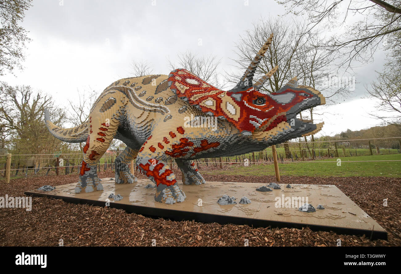 Ein Triceratops aus Lego steht auf Anzeige an Marwell Zoo, die Teil Ihrer BRICKOSAURS! Die Ausstellung läuft vom 5. April bis zum 1. September. Stockfoto