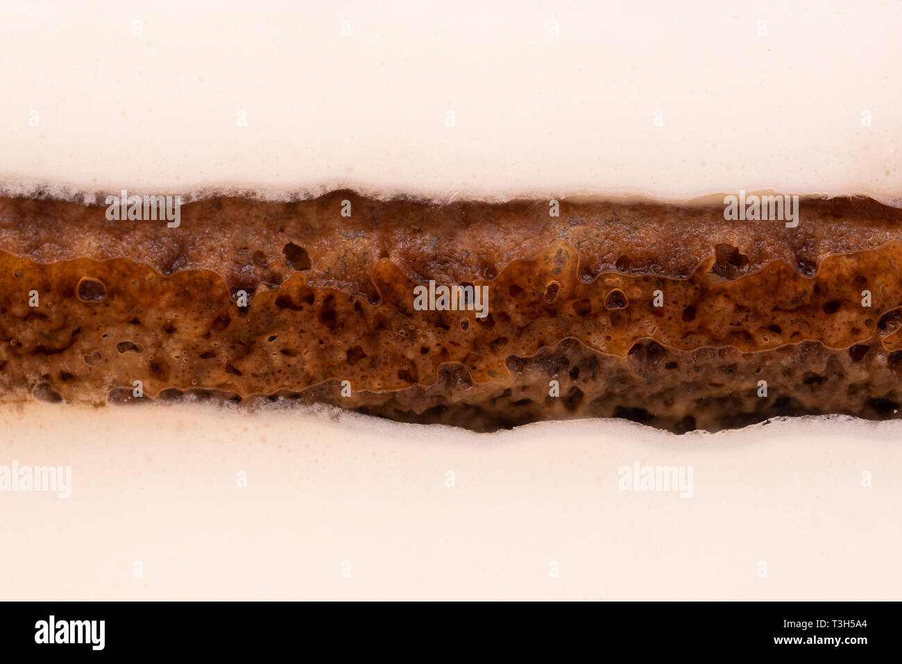 Seite eines Tiramisu italienische Dessert Makroaufnahme mit den verschiedenen Schichten von Mascarpone und Keks/Abblendlicht Stockfoto