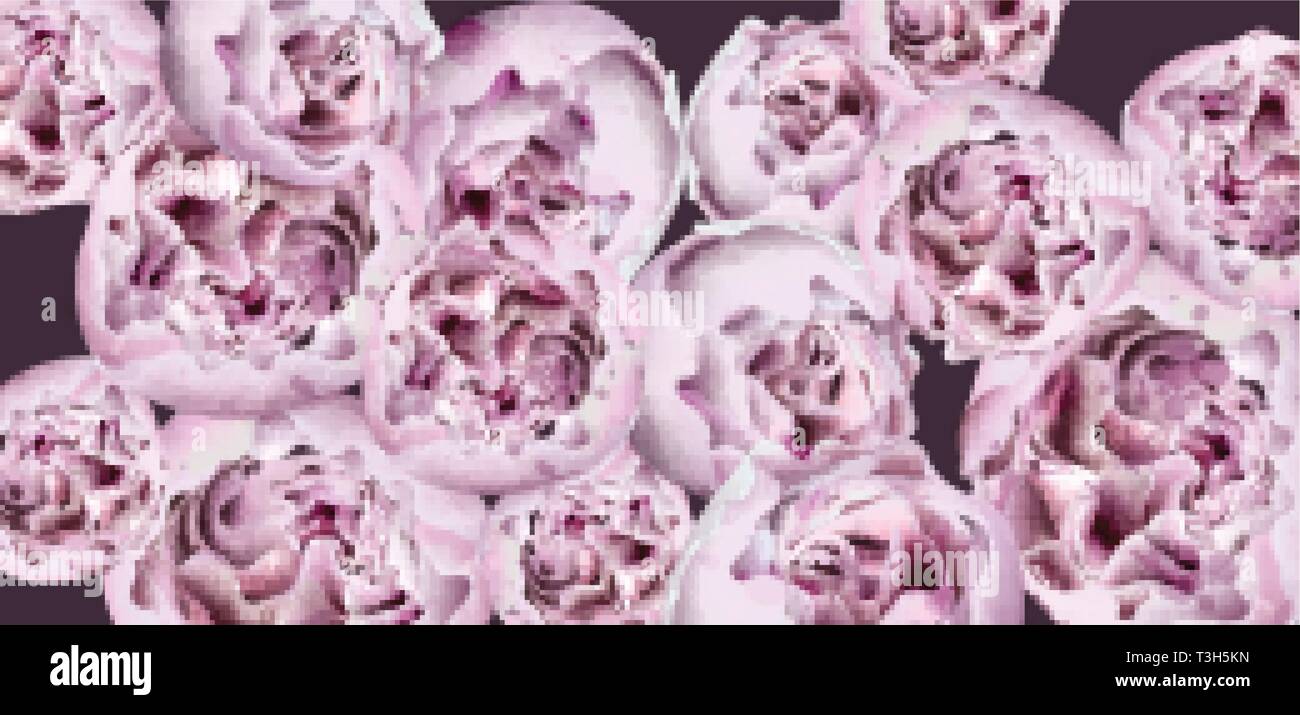 Feder Pfingstrose blumen blumenstrauss Vektor Aquarell. Schöne Blumen Hochzeit oder Party Hintergrund Stock Vektor