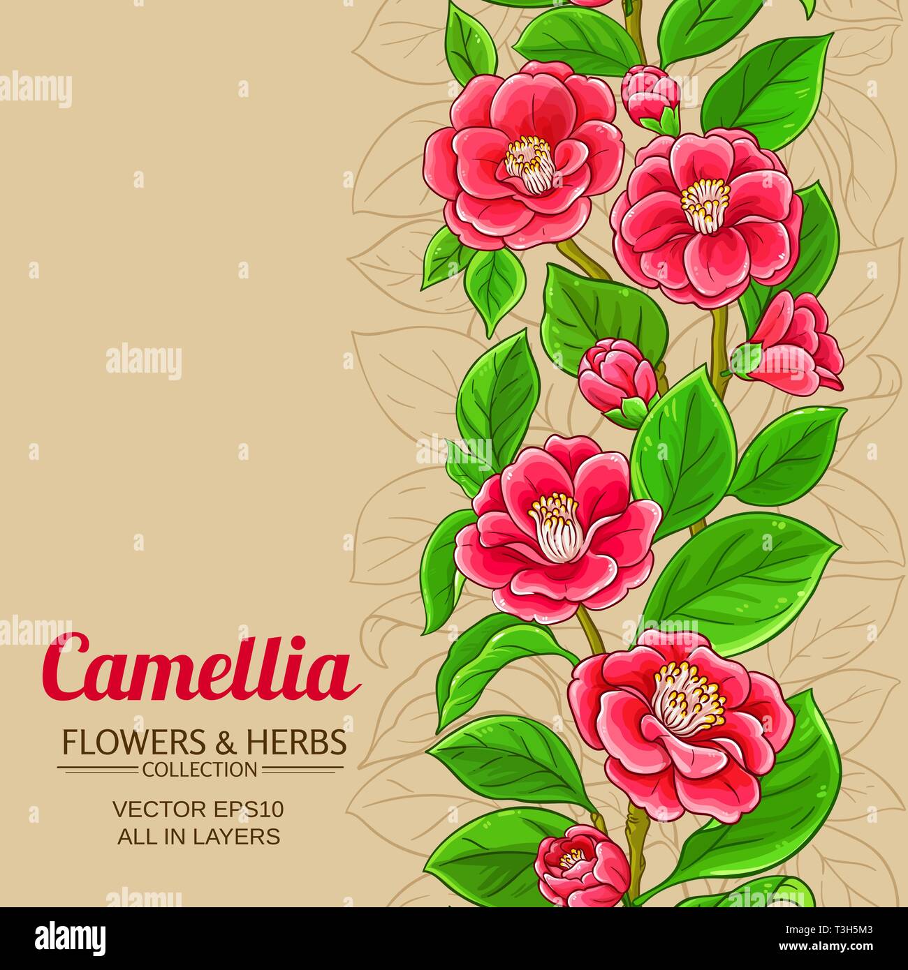 Camellia vektor Muster auf farbigen Hintergrund Stock Vektor