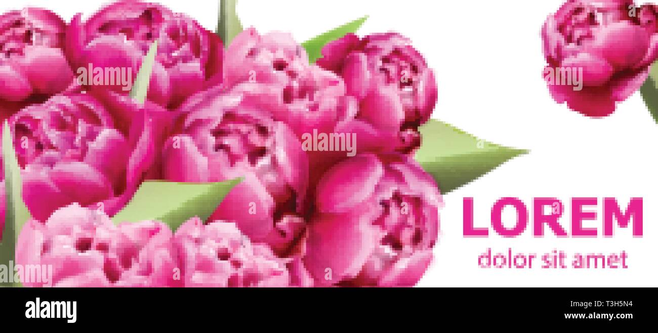 Pfingstrose blumen blumenstrauss Karte Hintergrund Vektor. Schöner Frühling Vorlage Stock Vektor