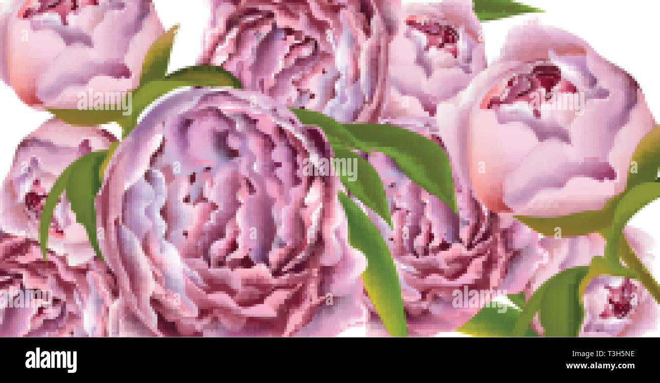 Rosa pfingstrose Blüten Karte Hintergrund Vektor. Schöner Frühling Vorlage Stock Vektor