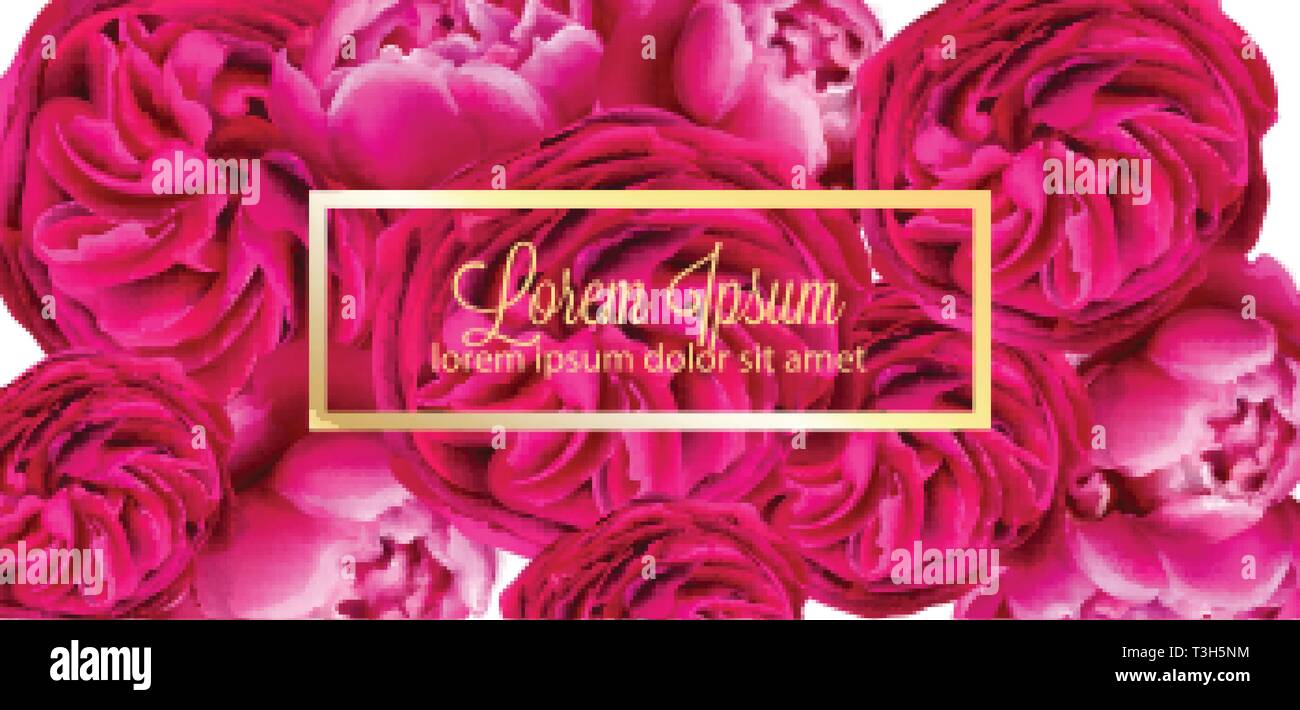 Rote pfingstrose Blüten Karte Hintergrund Vektor. Schöner Frühling Vorlage Stock Vektor