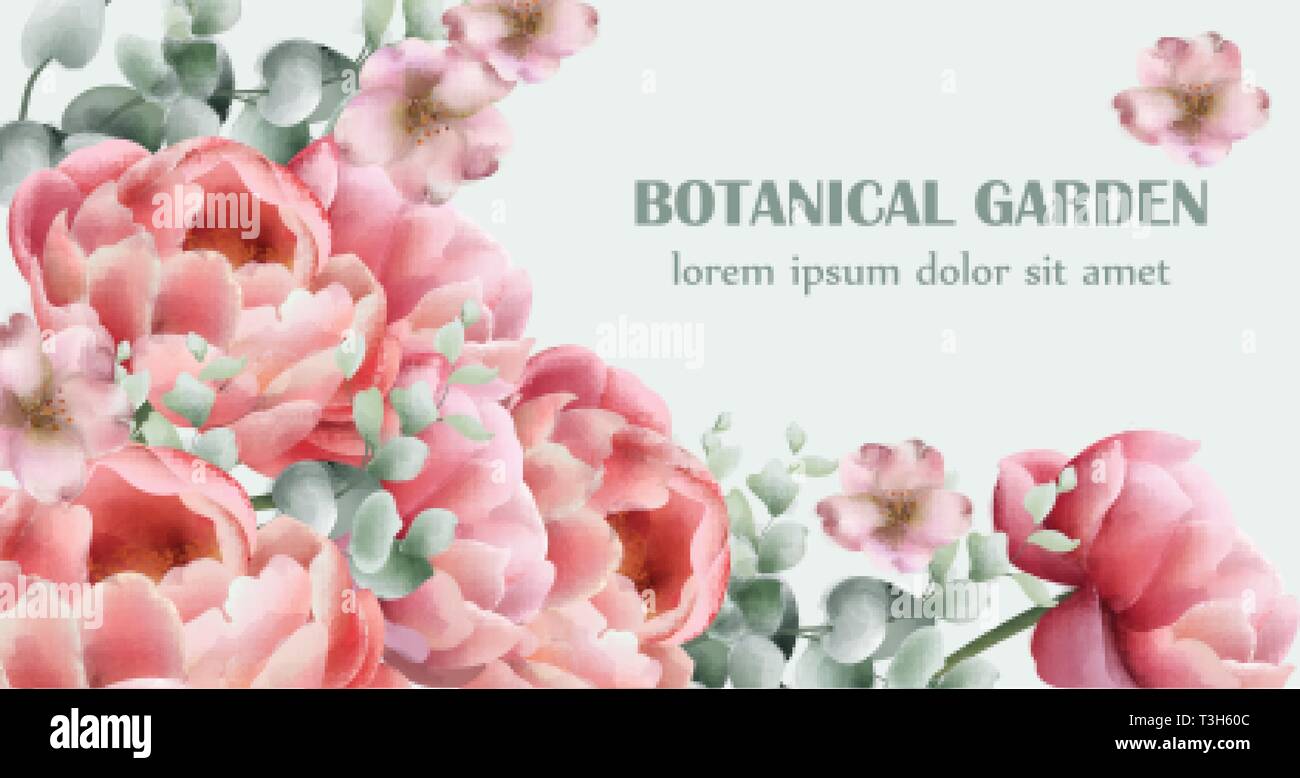 Pfingstrose blumen blumenstrauss Karte Vektor Aquarell. Farbenfrohe saisonale Einrichtung Hintergrund Stock Vektor