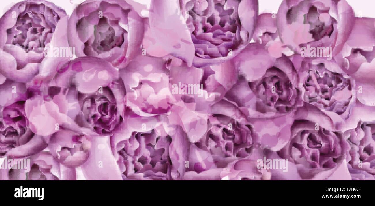 Lila Blüten pfingstrose Karte Vektor Aquarell. Farbenfrohe Einrichtung in der Saison Stock Vektor