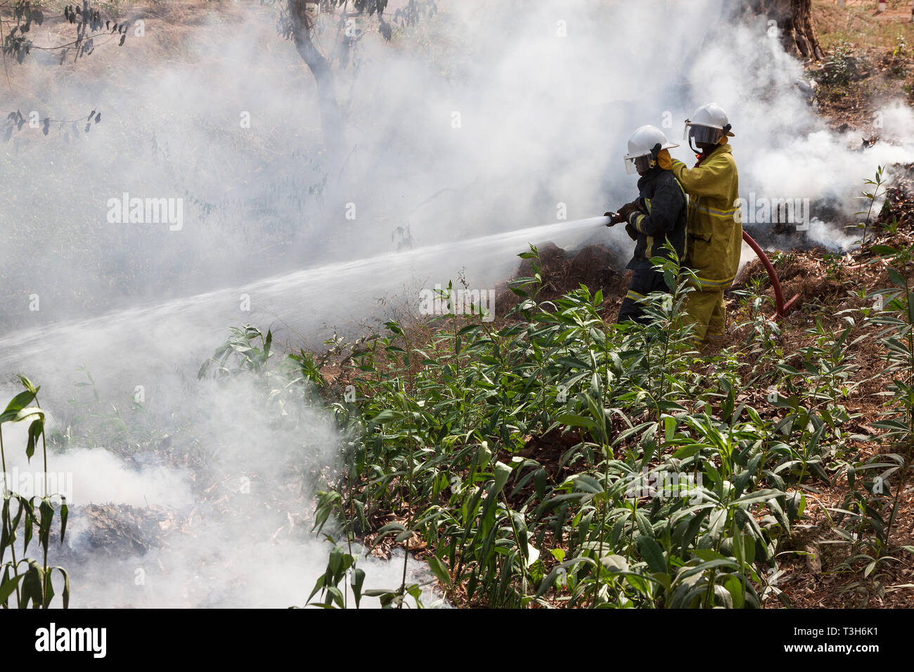 Sierra Leone in Emergency Response Team Training in der Brandbekämpfung Feuer machen Pausen zwischen den lokalen Wald und mit Hilfe von Schläuchen aus der Gemeinschaft Stockfoto