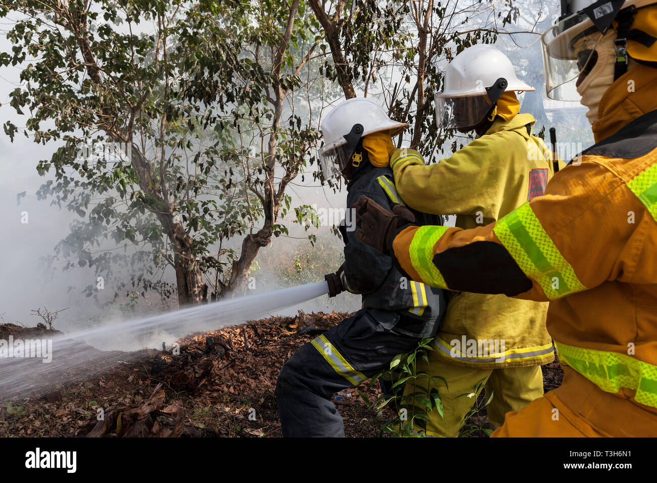 Sierra Leone in Emergency Response Team Training in der Brandbekämpfung Feuer machen Pausen zwischen den lokalen Wald und mit Hilfe von Schläuchen aus der Gemeinschaft Stockfoto