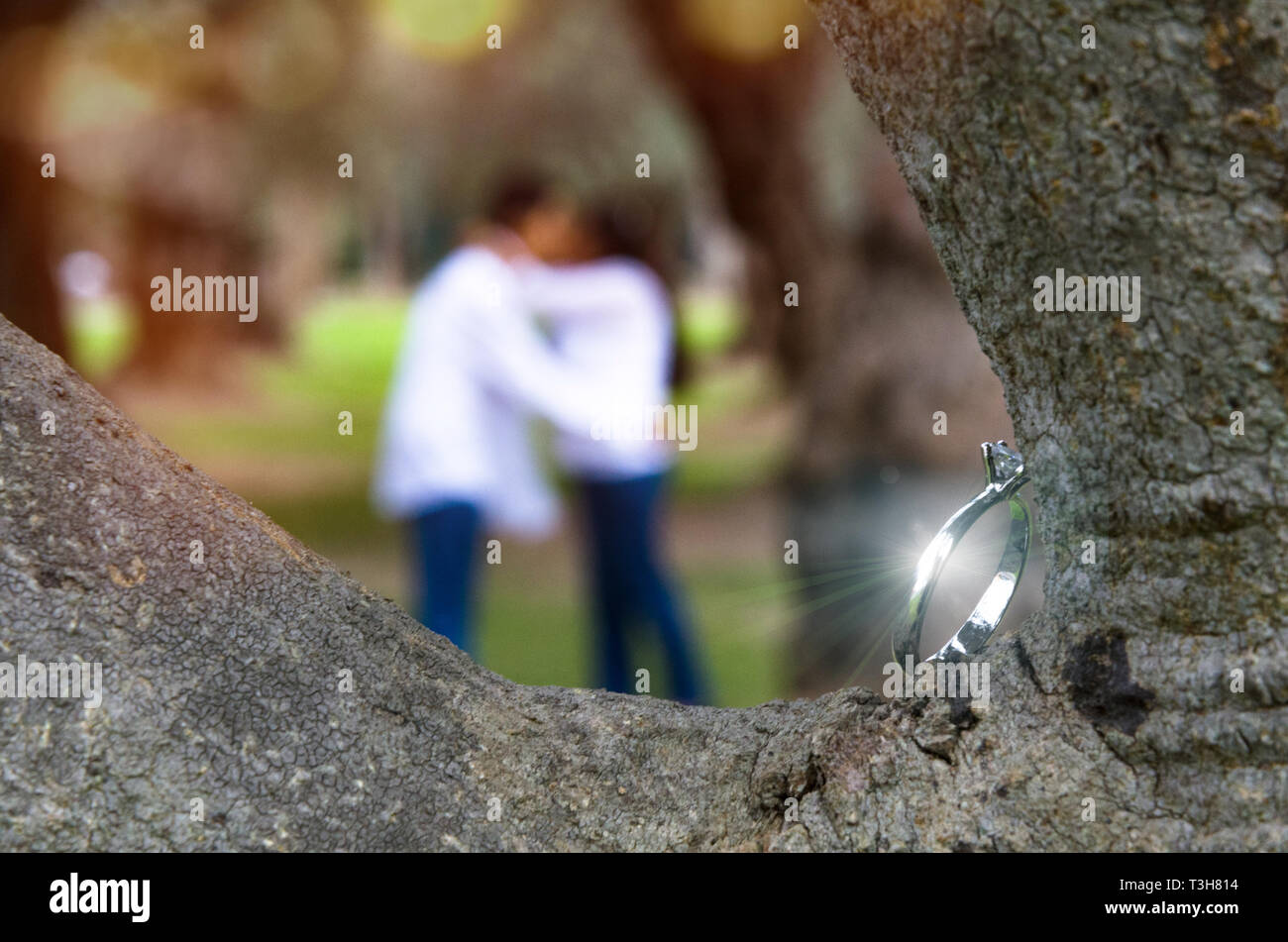 Hochzeit Ring für die Braut und den Bräutigam am Tag der Hochzeit. Im Hintergrund unscharf Paar in einem Park küssen. Stockfoto