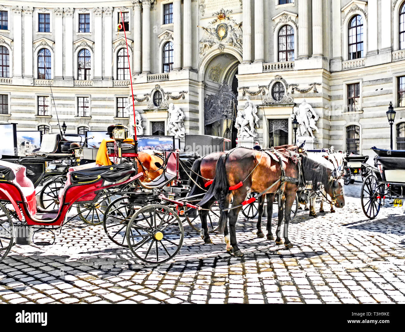 Fiaker driver -Fotos und -Bildmaterial in hoher Auflösung – Alamy