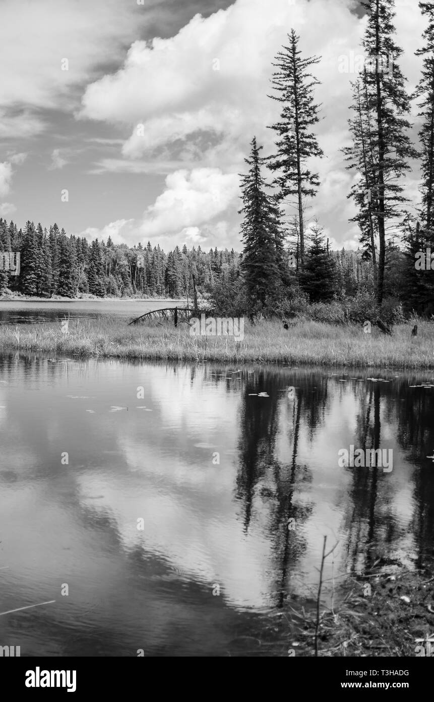 Duck Mountain Provincial Park Landschaft Stockfoto