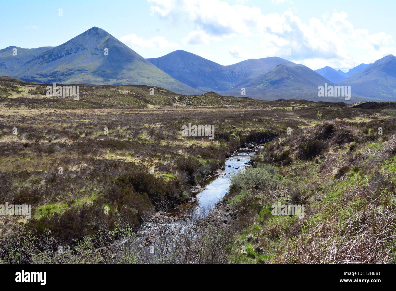 Skye Bog Stockfoto