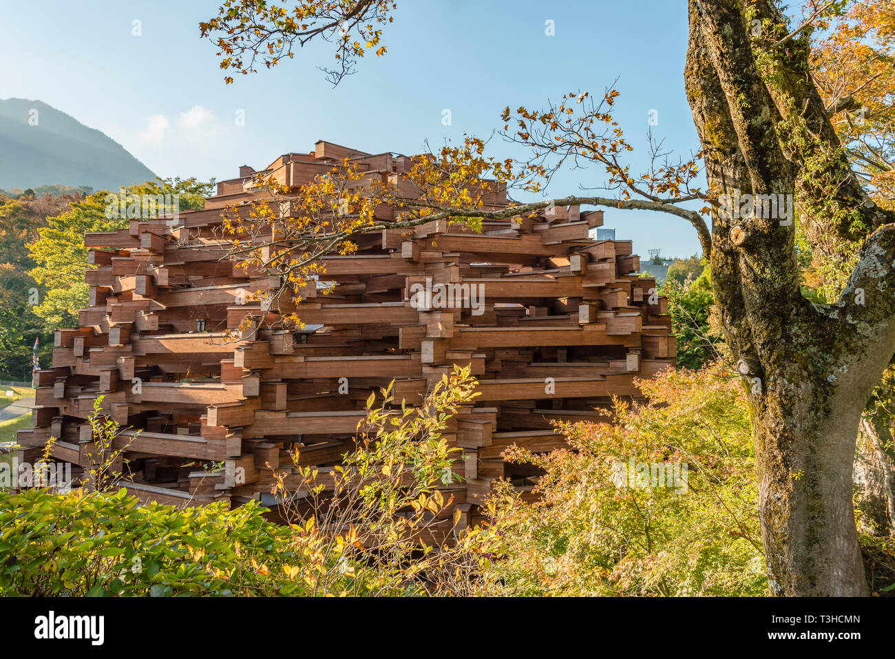 Holzskulptur von Toshiko Horiuchi Macadam im Hakone Open Air Museum, Japan Stockfoto