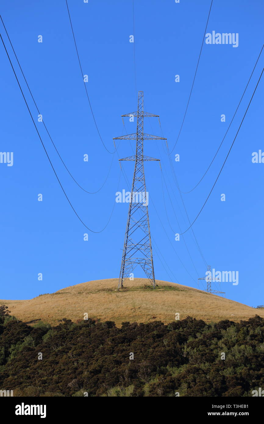 Stromleitungen in der Nähe von Balclutha, South Otago, Neuseeland Stockfoto