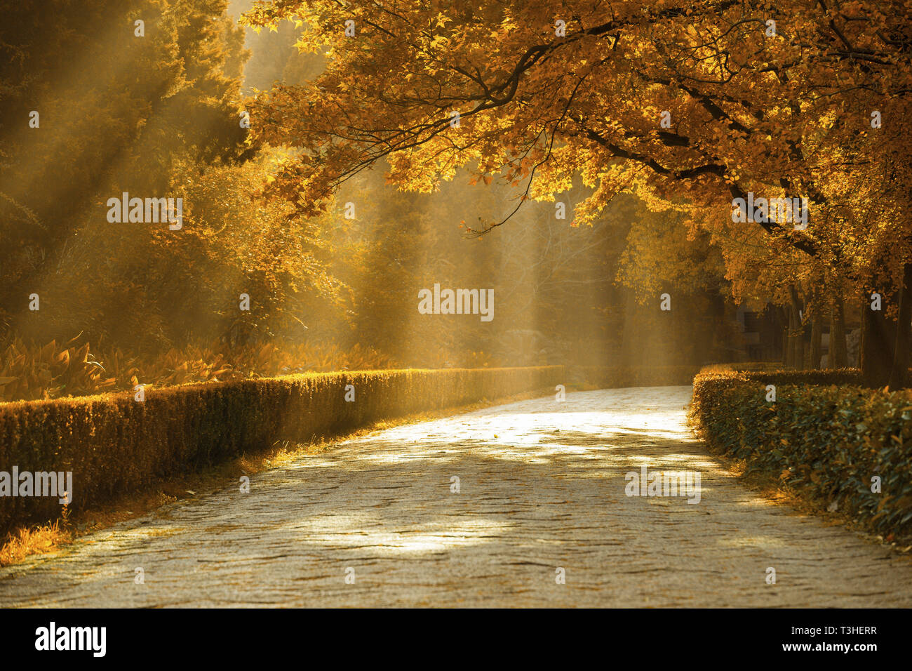 Urlaubsort Stockfoto