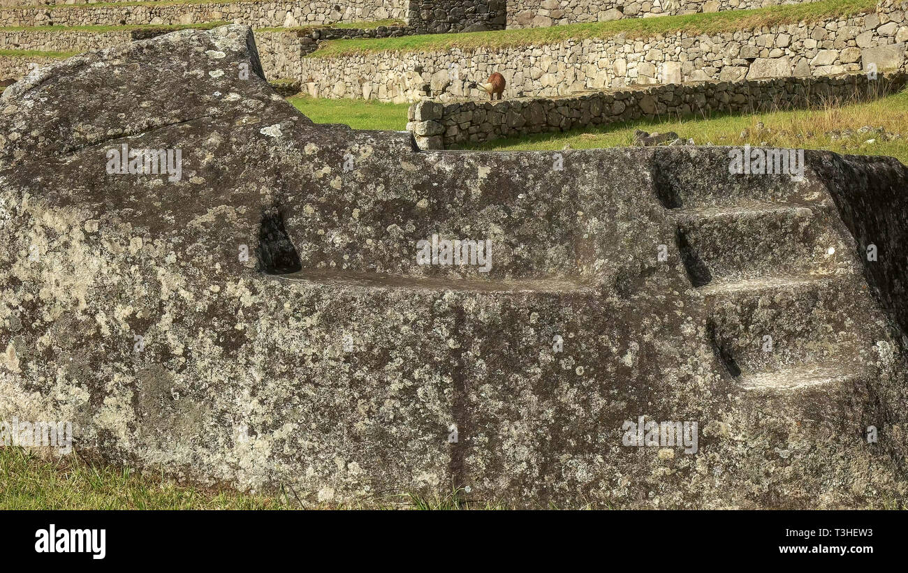 Nahaufnahme einer zeremoniellen Rock bei Machu Picchu mit einer Fütterung llama Stockfoto