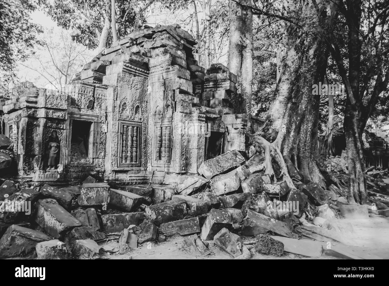 Steinerne Ruinen von Ta Prohm, oder den Dschungel, Tempel, mit Bäume wachsen in Schutt in Siem Reap, Kambodscha in B&W. Stockfoto