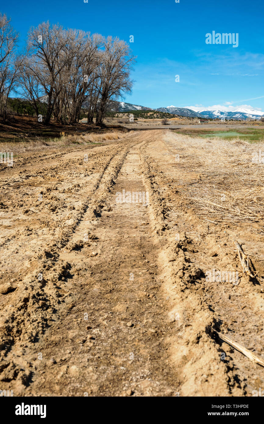Schlammigen Spuren auf einer Ranch dirt road; Colorado; USA Stockfoto