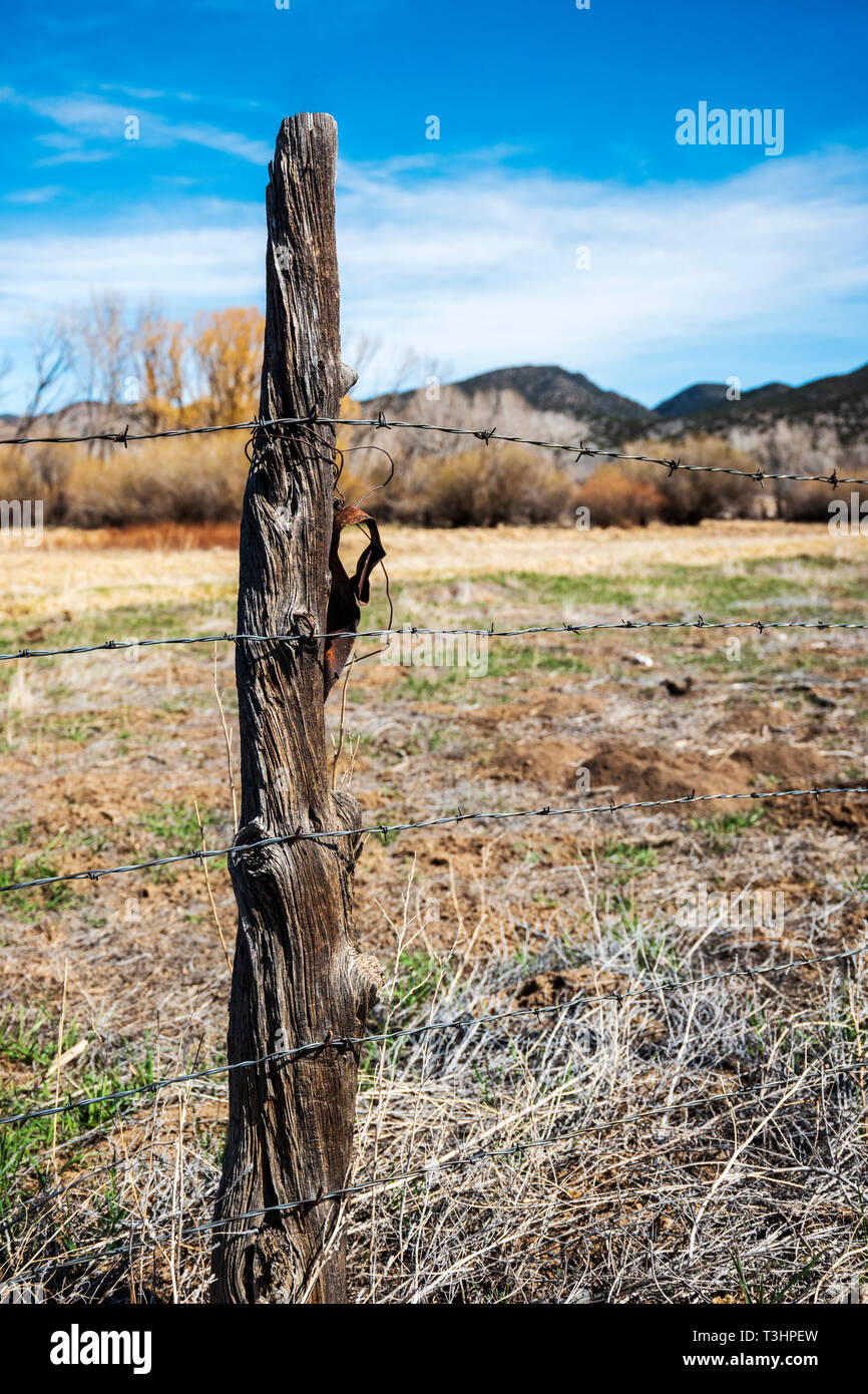 In der Nähe von Stacheldraht zaun & Holzzaun Post; Ranch in Colorado, USA Stockfoto