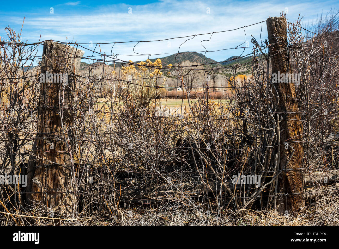 In der Nähe von Stacheldraht zaun & Holzzaun Post; Ranch in Colorado, USA Stockfoto