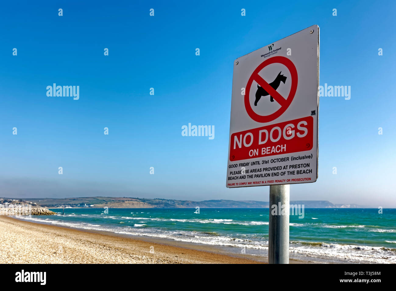Ein Zeichen keine Hunde am Strand an der Küste von Weymouth, Dorset, England, Großbritannien Stockfoto