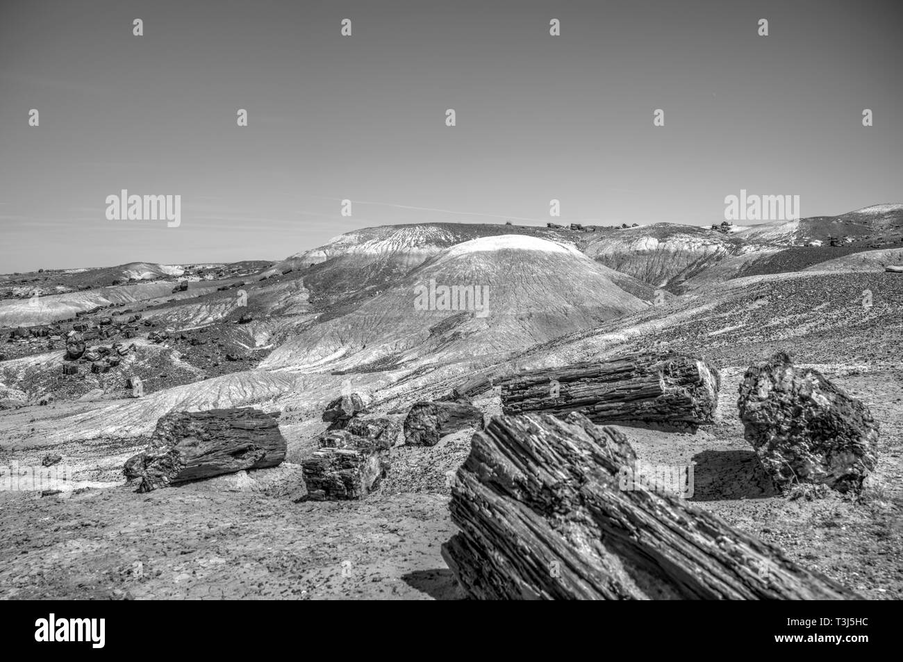 Blue Mesa innerhalb der Petrified Forest National Park Stockfoto