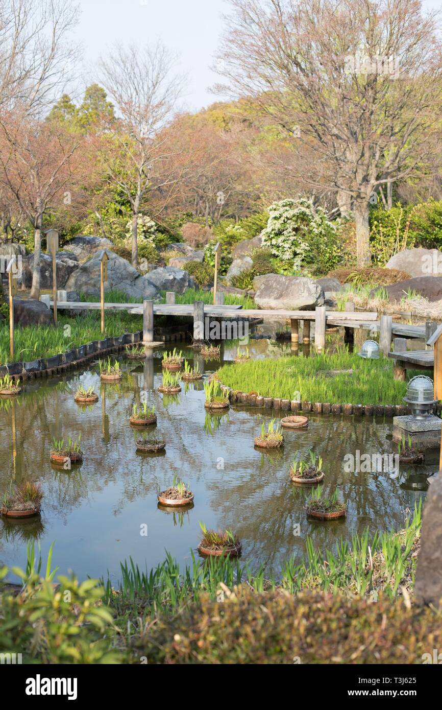 Ein Teich und eine Fußgängerbrücke im Japanischen Garten in Daisen Park in Sakai City, Osaka, Japan. Stockfoto