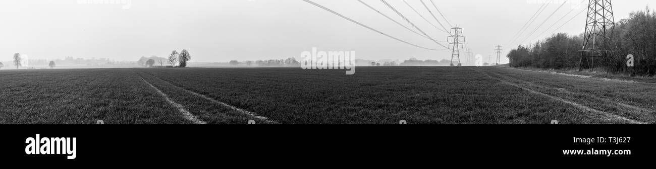 Elektrische Leitungen und Masten auf Dritte gehen in die Ferne Stockfoto