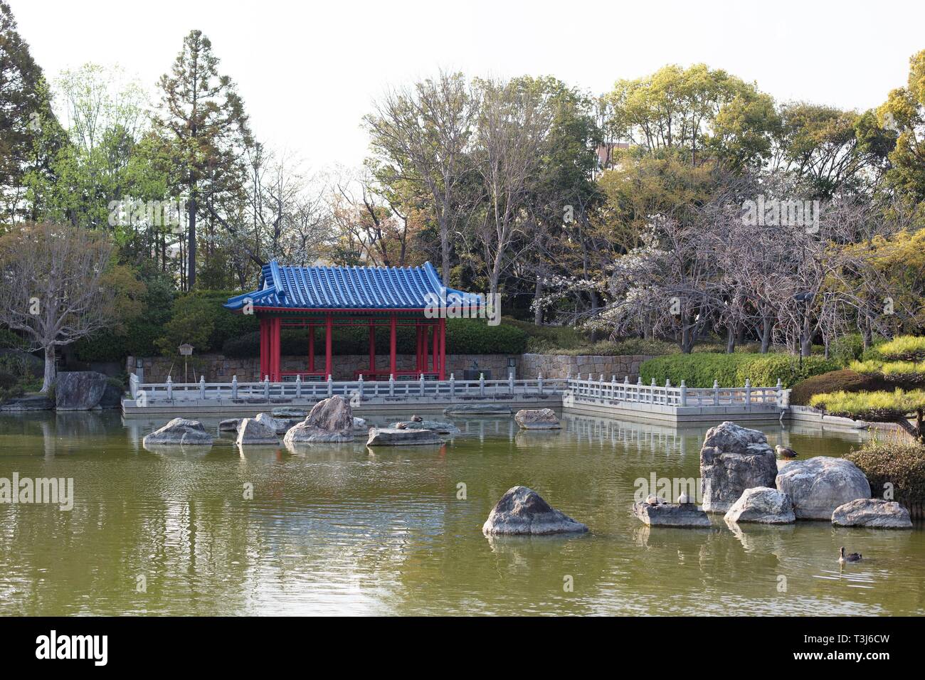 Japanischer Garten in Daisen Park in Sakai City, Osaka, Japan. Stockfoto