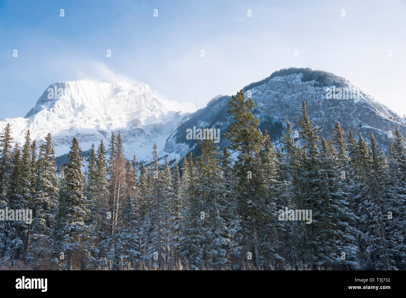 Roche eine Perdrix Berg in Jasper Alberta Stockfoto