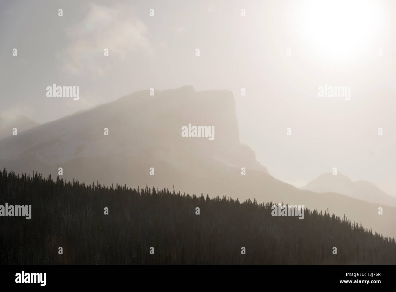 Roche Miette an einem kalten Tag in Jasper Stockfoto