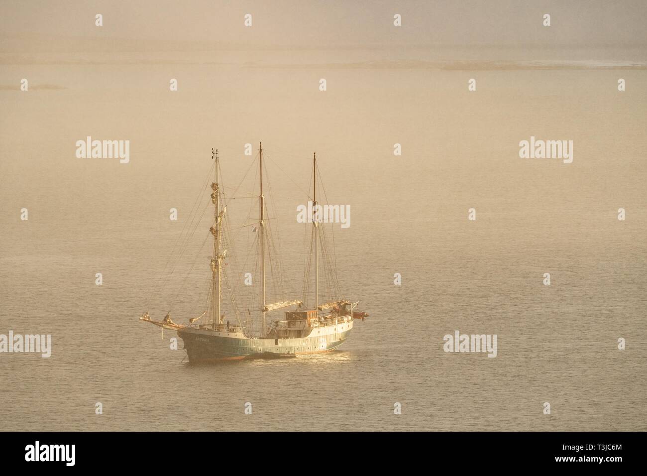 Schoner Antigua, Murchisonfjord, Nordaustland, Spitzbergen, Svalbard und Jan Mayen, Norwegen Stockfoto