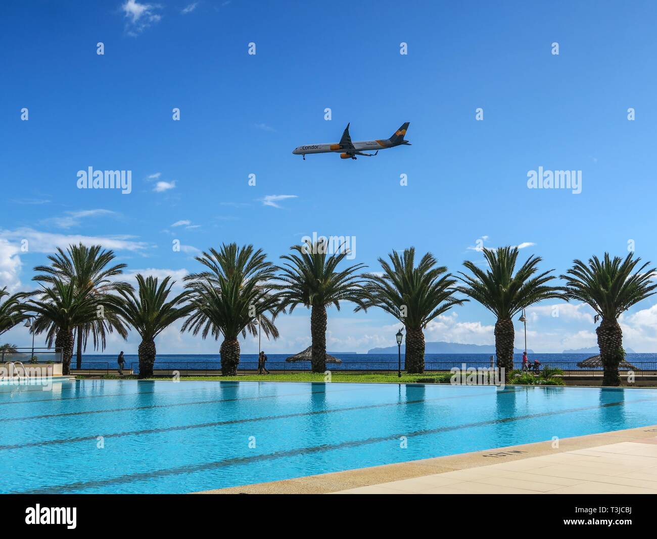 Pool Mit Palmen Hotel In Santa Cruz Nahert Sich Condor Flug Madeira Portugal Stockfotografie Alamy